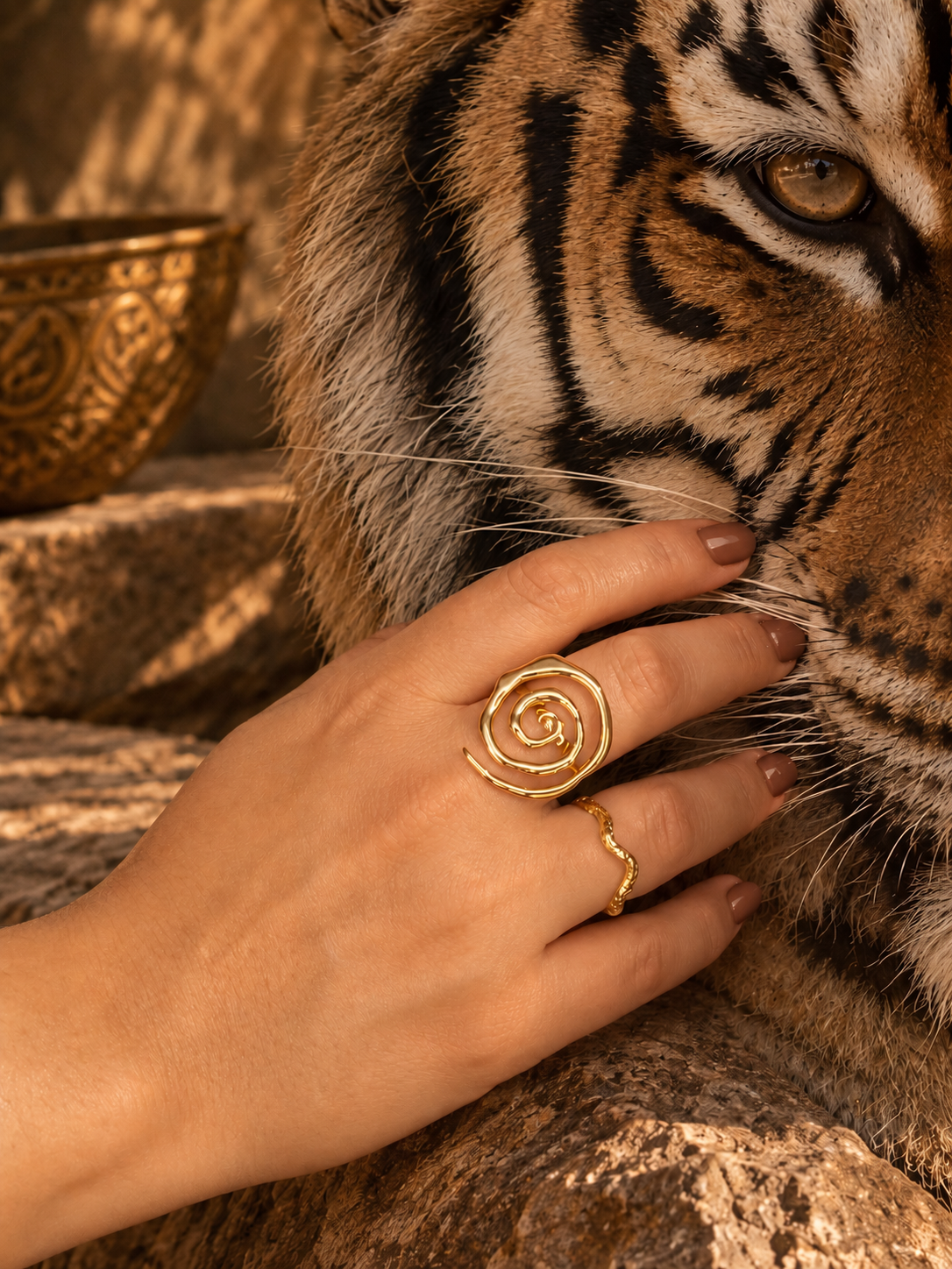 ANILLO DUNA